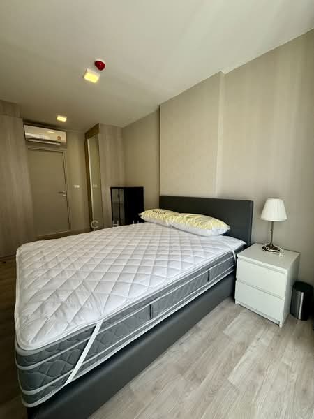 Quintara Arte Sukhumvit 52, Bangkok, Soi Sukhumvit 52, Sukhumvit Road, Bang Chak, Phra Khanong, Bangkok, 1 Bedroom, 35 sqm, Condo For Rent, by Chutima Saenieo, 500361278 - DDproperty.com