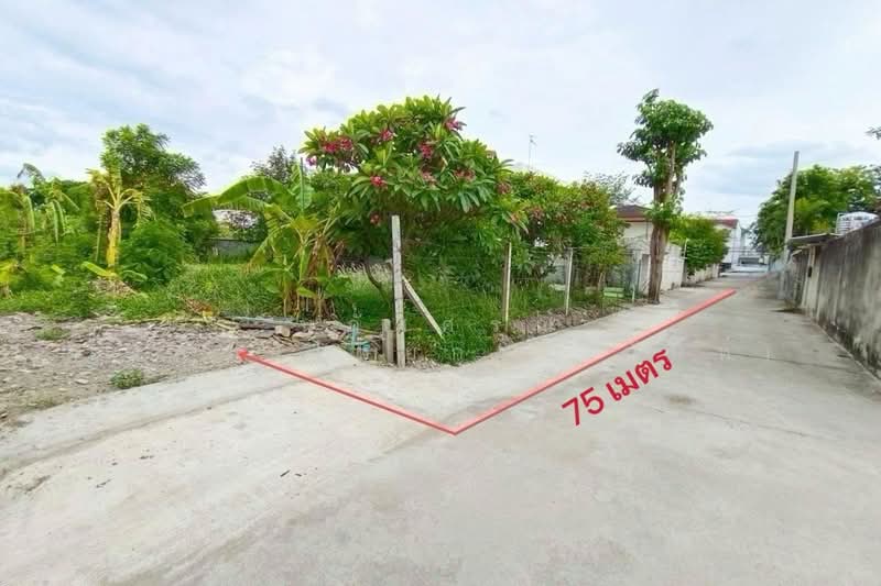 ทุ่งสองห้อง, กรุงเทพ, แจ้งวัฒนะ10 แยก9-1, ทุ่งสองห้อง, หลักสี่, กรุงเทพ, 628 ตร.ม., ที่ดิน ขาย, โดย นภัสศรณ์ วงศ์สินไทยกร (นันท์), 500361342 - DDproperty.com