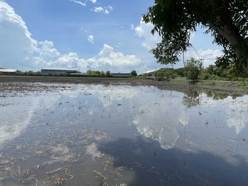 แปลงใหญ่ ศักยภาพสูง, Chachoengsao, Khlong Luang Phaeng, Muang Chachoengsao, Chachoengsao, , 138,452 sqm, Land For Sale, by ERA Holding (Thailand) Co., Ltd., 500361505 - DDproperty.com