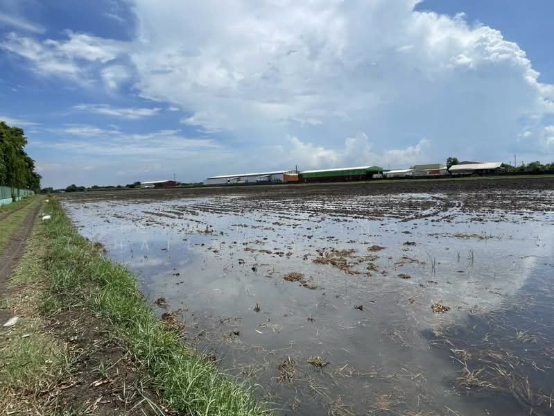 แปลงใหญ่ ศักยภาพสูง, Chachoengsao, Khlong Luang Phaeng, Muang Chachoengsao, Chachoengsao, , 138,452 sqm, Land For Sale, by ERA Holding (Thailand) Co., Ltd., 500361505 - DDproperty.com