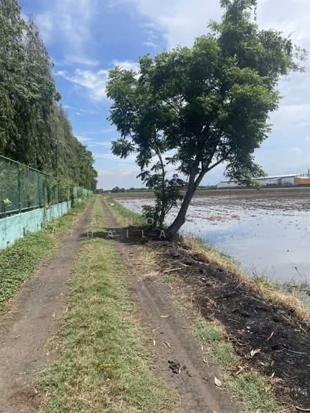 แปลงใหญ่ ศักยภาพสูง, Chachoengsao, Khlong Luang Phaeng, Muang Chachoengsao, Chachoengsao, , 138,452 sqm, Land For Sale, by ERA Holding (Thailand) Co., Ltd., 500361505 - DDproperty.com