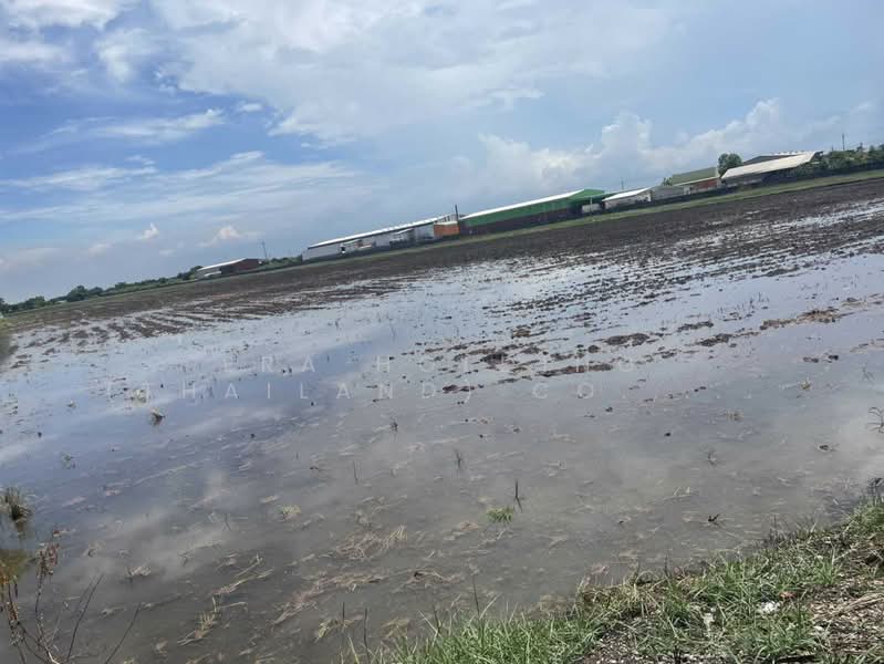 แปลงใหญ่ ศักยภาพสูง, Chachoengsao, Khlong Luang Phaeng, Muang Chachoengsao, Chachoengsao, , 138,452 sqm, Land For Sale, by ERA Holding (Thailand) Co., Ltd., 500361505 - DDproperty.com
