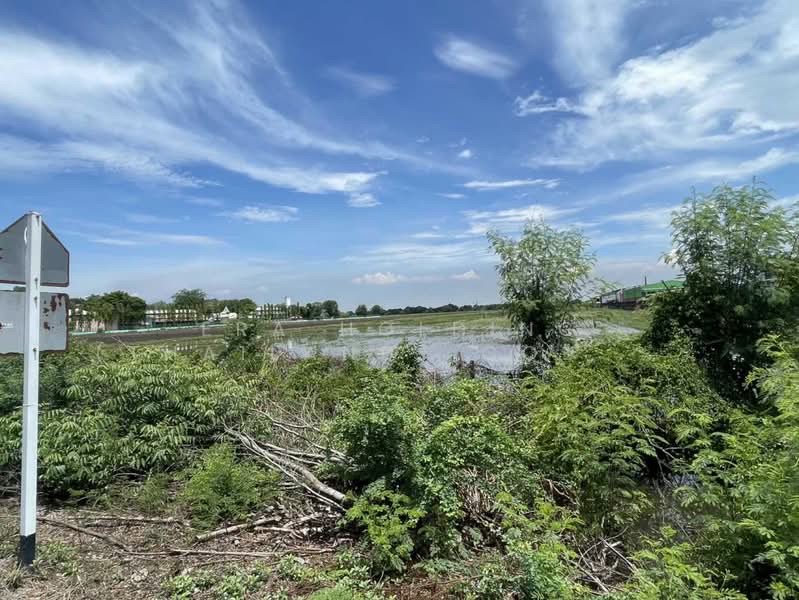 แปลงใหญ่ ศักยภาพสูง, Chachoengsao, Khlong Luang Phaeng, Muang Chachoengsao, Chachoengsao, , 138,452 sqm, Land For Sale, by ERA Holding (Thailand) Co., Ltd., 500361505 - DDproperty.com