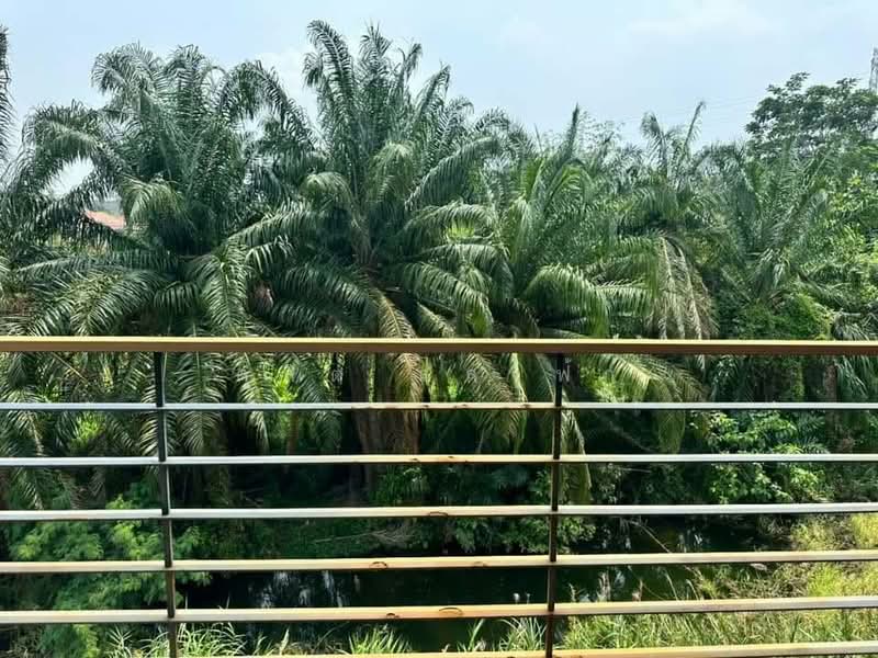 Green Lake Sriracha, Chon Buri (Pattaya), 399 Si Racha-Nong Yai Bu Rd, Surasak, Si Racha, Chon Buri (Pattaya), 1 Bedroom, 51 sqm, Condo For Rent, by Dusit Saengfa, 500361551 - DDproperty.com