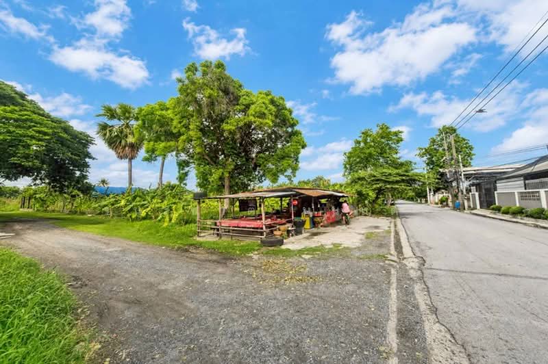 ขาย/เช่า ที่ดินเปล่า เนื้อที่ 402 ตร.ว. ซอยพูลศรี 6 (ตรงข้ามสำนักสักยันต์อาจารย์นู), Pathum Thani, Bang Dua, Muang Pathum Thani, Pathum Thani, , 1,608 sqm, Land For Sale, by ชนะชาติ นนท์ตา, 500361702 - DDproperty.com