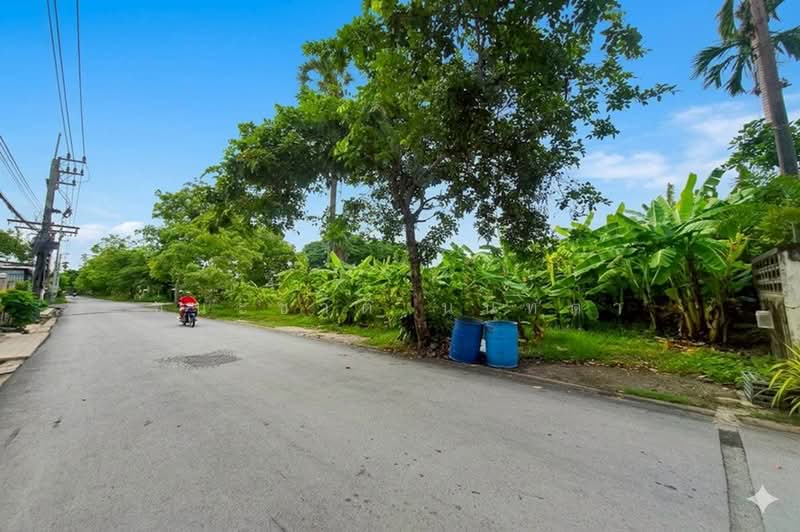 ขาย/เช่า ที่ดินเปล่า เนื้อที่ 402 ตร.ว. ซอยพูลศรี 6 (ตรงข้ามสำนักสักยันต์อาจารย์นู), Pathum Thani, Bang Dua, Muang Pathum Thani, Pathum Thani, , 1,608 sqm, Land For Sale, by ชนะชาติ นนท์ตา, 500361702 - DDproperty.com