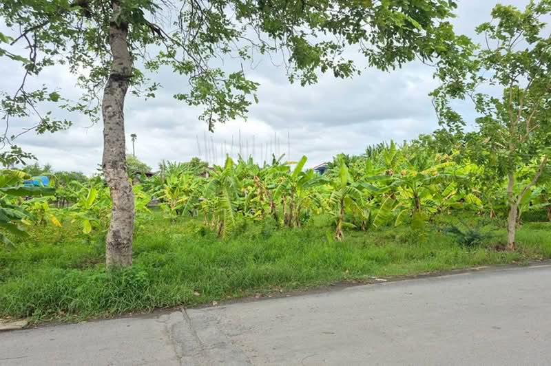 ขาย/เช่า ที่ดินเปล่า เนื้อที่ 402 ตร.ว. ซอยพูลศรี 6 (ตรงข้ามสำนักสักยันต์อาจารย์นู), ปทุมธานี, บางเดื่อ, เมืองปทุมธานี, ปทุมธานี, 1,608 ตร.ม., ที่ดิน ขาย, โดย ชนะชาติ นนท์ตา, 500361702 - DDproperty.com