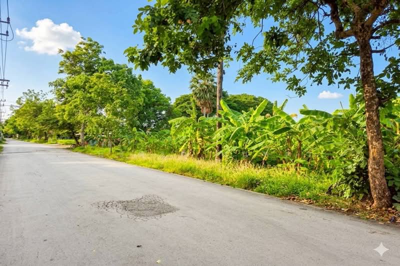 ขาย/เช่า ที่ดินเปล่า เนื้อที่ 402 ตร.ว. ซอยพูลศรี 6 (ตรงข้ามสำนักสักยันต์อาจารย์นู), Pathum Thani, Bang Dua, Muang Pathum Thani, Pathum Thani, , 1,608 sqm, Land For Sale, by ชนะชาติ นนท์ตา, 500361702 - DDproperty.com