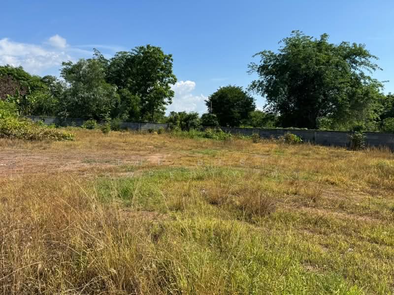 ที่ดินแปลงยาว ฉะเชิงเทรา, Chachoengsao, Hua Samrong, Plaeng Yao, Chachoengsao, , 2,168 sqm, Land For Sale, by The Best Property ฟ้า, 500361713 - DDproperty.com