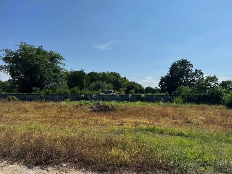 ที่ดินแปลงยาว ฉะเชิงเทรา, Chachoengsao, Hua Samrong, Plaeng Yao, Chachoengsao, , 2,168 sqm, Land For Sale, by The Best Property ฟ้า, 500361713 - DDproperty.com