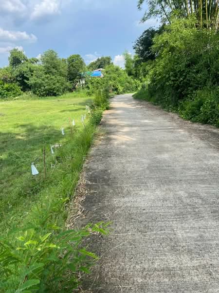 ที่ดินเสาไห้ สระบุรี, สระบุรี, บ้านยาง, เสาไห้, สระบุรี, 16,108 ตร.ม., ที่ดิน ขาย, โดย The Best Property บี, 500361805 - DDproperty.com