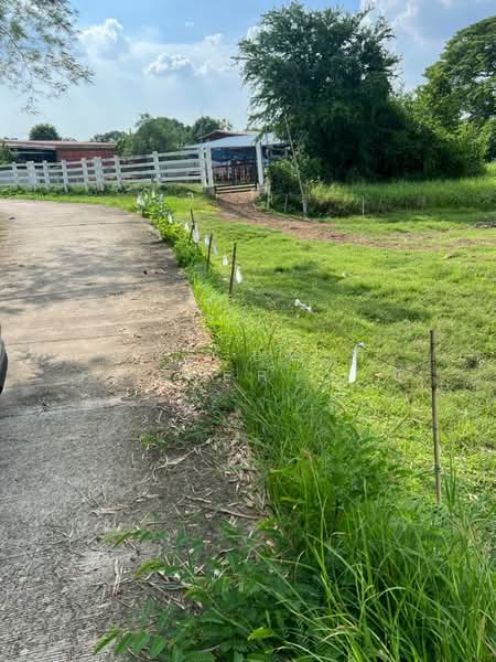 ที่ดินเสาไห้ สระบุรี, Saraburi, Ban Yang, Sao Hai, Saraburi, , 16,108 sqm, Land For Sale, by The Best Property บี, 500361805 - DDproperty.com
