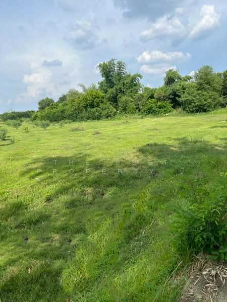 ที่ดินเสาไห้ สระบุรี, Saraburi, Ban Yang, Sao Hai, Saraburi, , 16,108 sqm, Land For Sale, by The Best Property บี, 500361805 - DDproperty.com
