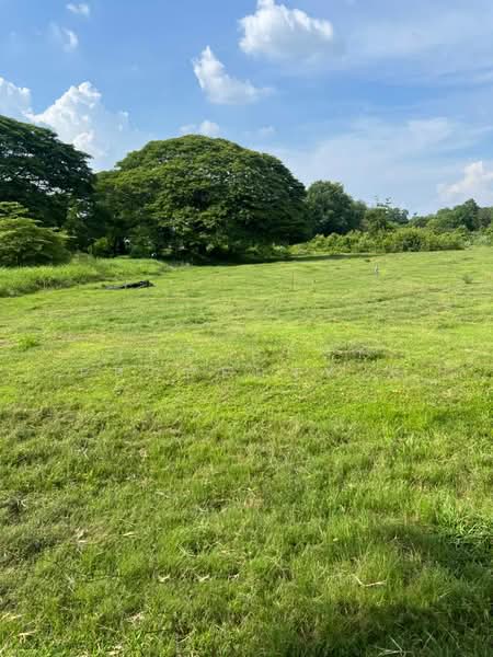 ที่ดินเสาไห้ สระบุรี, สระบุรี, บ้านยาง, เสาไห้, สระบุรี, 16,108 ตร.ม., ที่ดิน ขาย, โดย The Best Property บี, 500361805 - DDproperty.com