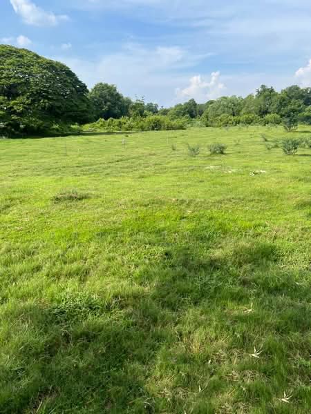 ที่ดินเสาไห้ สระบุรี, Saraburi, Ban Yang, Sao Hai, Saraburi, , 16,108 sqm, Land For Sale, by The Best Property บี, 500361805 - DDproperty.com