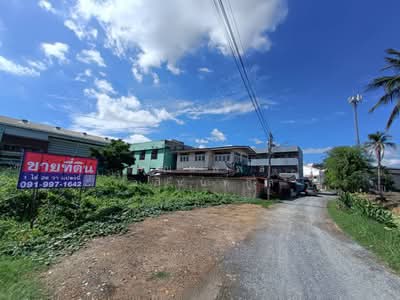 ขาย - ไร่ขิง30, นครปฐม