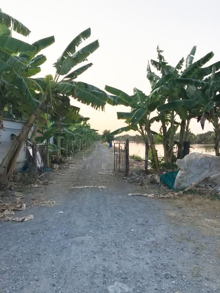 ที่ดินบางพลี สมุทรปราการ, Samut Prakan, Bang Chalong, Bang Plee, Samut Prakan, , 14,332 sqm, Land For Sale, by The Best Property ออฟ, 500362025 - DDproperty.com