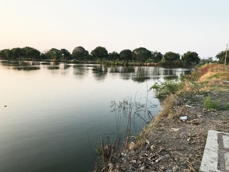 ที่ดินบางพลี สมุทรปราการ, Samut Prakan, Bang Chalong, Bang Plee, Samut Prakan, , 14,332 sqm, Land For Sale, by The Best Property ออฟ, 500362025 - DDproperty.com
