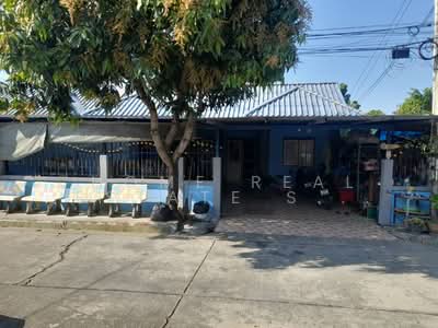 ขาย - หนองรี, ชลบุรี