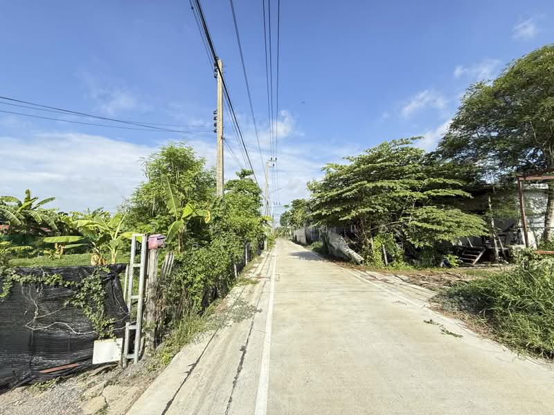ที่ดินเปล่า ถนน นิมิตรใหม่ คลองสามวา กรุงเทพ, Bangkok, Sam Wa Tawan Ok, Khlong Sam Wa, Bangkok, , 500 sqm, Land For Sale, by บริษัท เอชแอล แอสเซท จำกัด, 500362070 - DDproperty.com