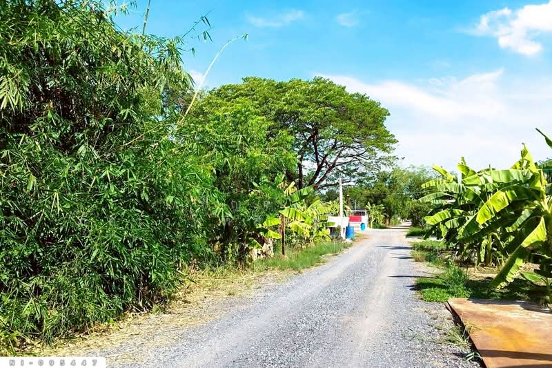 Land plot in Wang Noi, 58 square wah, Phra Nakhon Si Ayutthaya NI-095447, Phra Nakhon Si Ayutthaya, Cha Maep, Wang Noi, Phra Nakhon Si Ayutthaya, , 232 sqm, Land For Sale, by Benchawarin Pakkawetppisit, 500362076 - DDproperty.com