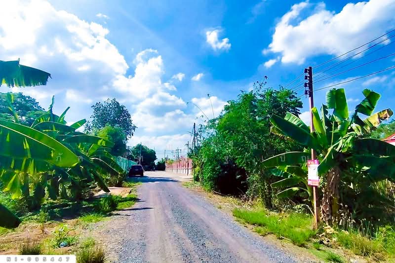 Land plot in Wang Noi, 58 square wah, Phra Nakhon Si Ayutthaya NI-095447, Phra Nakhon Si Ayutthaya, Cha Maep, Wang Noi, Phra Nakhon Si Ayutthaya, , 232 sqm, Land For Sale, by Benchawarin Pakkawetppisit, 500362076 - DDproperty.com