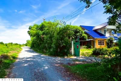 ขาย - ที่ดินพร้อมสิ่งปลูกสร้างศรีสำราญ 3 ไร่ 341.7 ตร.ว. สองพี่น้อง สุพรรณบุรี WR-055233, สุพรรณบุรี