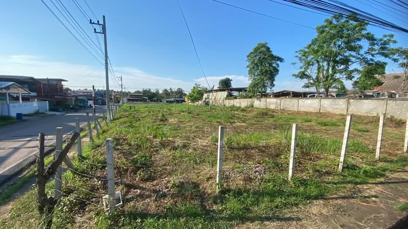 ที่ดินบ้านผือ อุดรธานี, Udon Thani, Ban-Phu, Ban Phu, Udon Thani, , 576 sqm, Land For Sale, by The Best Property พัสต้า, 500362245 - DDproperty.com