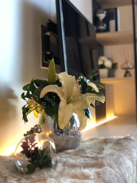 The XXXIX By Sansiri, Bangkok, 300 Soi Sukhumvit 39, Khlong Tan Nua, Watthana, Bangkok, 2 Bedrooms, 82 sqm, Condo For Sale, by Suthasin Boonkong, 500362252 - DDproperty.com