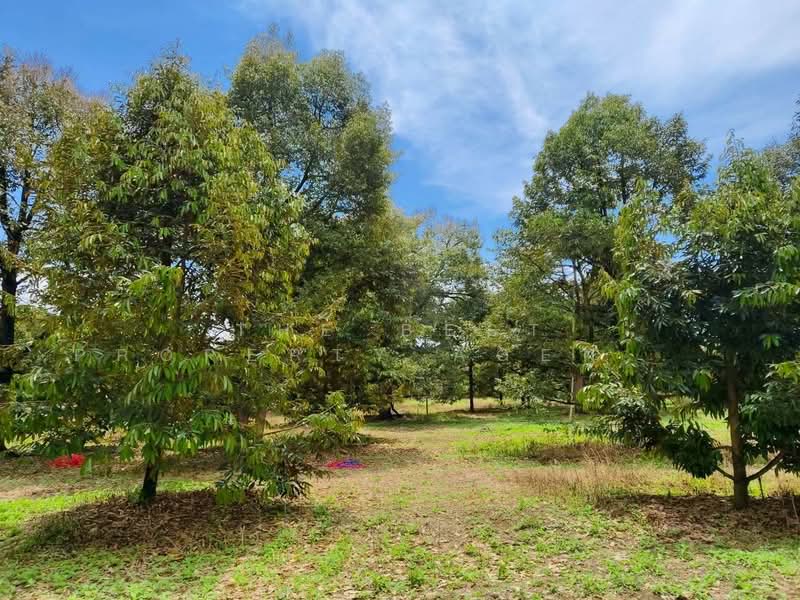 ที่ดินขลุง จันทบุรี, จันทบุรี, วังสรรพรส, ขลุง, จันทบุรี, 41,448 ตร.ม., ที่ดิน ขาย, โดย The Best Property Agent โชติ, 500362393 - DDproperty.com