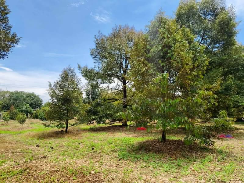 ที่ดินขลุง จันทบุรี, Chanthaburi, Wang Sappharot, Khlung, Chanthaburi, , 41,448 sqm, Land For Sale, by The Best Property Agent โชติ, 500362393 - DDproperty.com