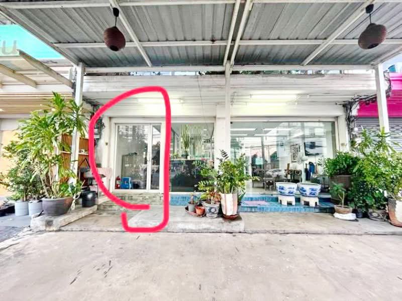 ไม่พบโครงการ, Bangkok, สุขุมวิท ศรีนครินทร์ บางนา, Bang Chak, Phra Khanong, Bangkok, , 71 sqm, Shophouse For Rent, by ณัฐพงศ์ สุนทรอรุณ, 500362437 - DDproperty.com