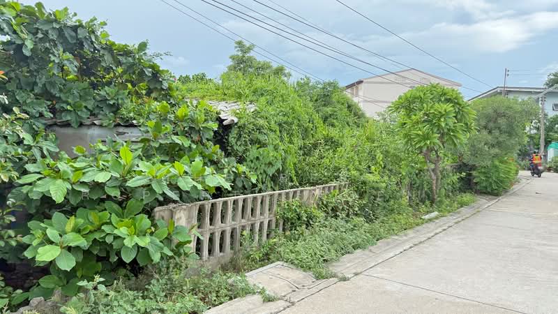 ที่ดินมหาชัย สมุทรสาคร, Samut Sakhon, Maharchai, Muang Samut Sakhon, Samut Sakhon, , 1,376 sqm, Land For Sale, by The Best Property Agent วิทย์, 500362440 - DDproperty.com