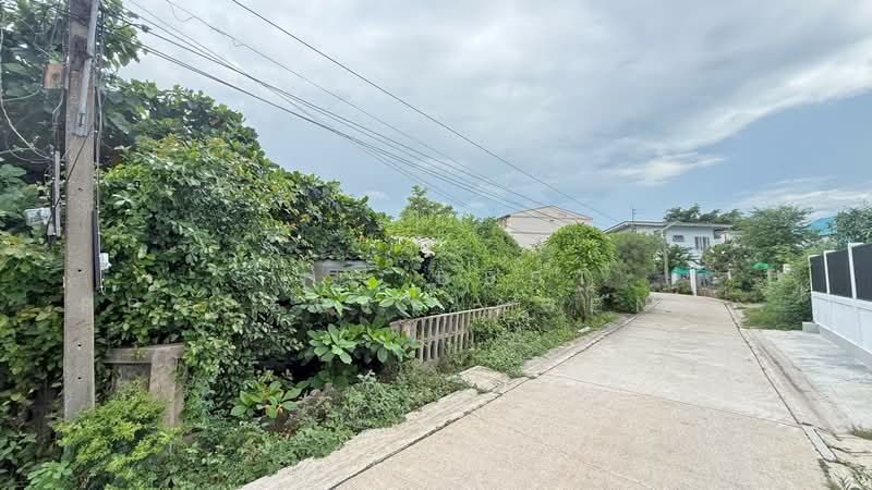 ที่ดินมหาชัย สมุทรสาคร, Samut Sakhon, Maharchai, Muang Samut Sakhon, Samut Sakhon, , 1,376 sqm, Land For Sale, by The Best Property Agent วิทย์, 500362440 - DDproperty.com