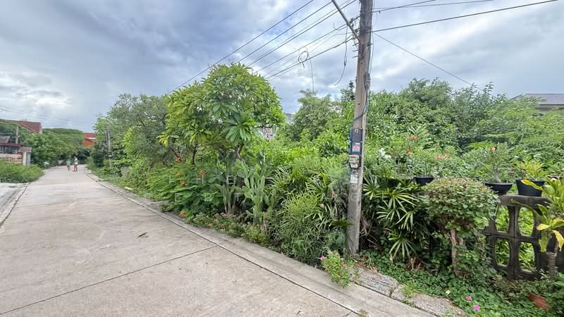 ที่ดินมหาชัย สมุทรสาคร, Samut Sakhon, Maharchai, Muang Samut Sakhon, Samut Sakhon, , 1,376 sqm, Land For Sale, by The Best Property Agent วิทย์, 500362440 - DDproperty.com