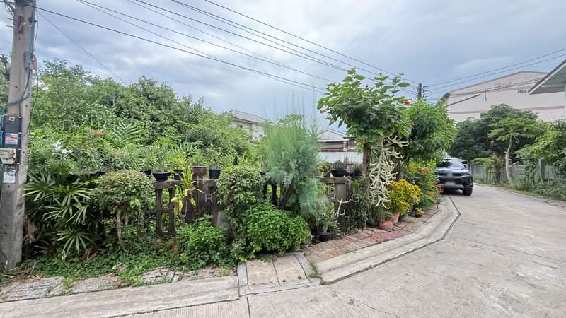 ที่ดินมหาชัย สมุทรสาคร, Samut Sakhon, Maharchai, Muang Samut Sakhon, Samut Sakhon, , 1,376 sqm, Land For Sale, by The Best Property Agent วิทย์, 500362440 - DDproperty.com