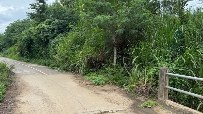 ที่ดินจอมทอง เชียงใหม่, เชียงใหม่, บ้านหลวง, จอมทอง, เชียงใหม่, 11,920 ตร.ม., ที่ดิน ขาย, โดย The Best Property Agent บอย, 500362464 - DDproperty.com