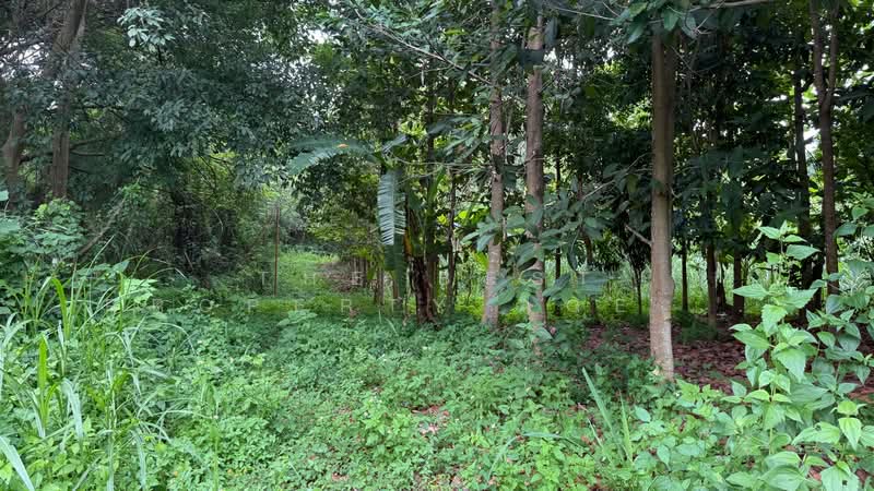 ที่ดินจอมทอง เชียงใหม่, เชียงใหม่, บ้านหลวง, จอมทอง, เชียงใหม่, 11,920 ตร.ม., ที่ดิน ขาย, โดย The Best Property Agent บอย, 500362464 - DDproperty.com