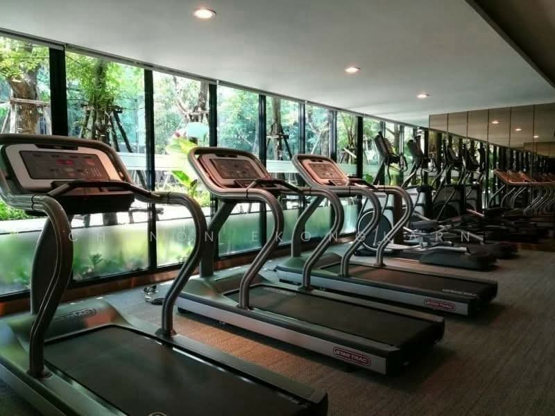 Vtara Sukhumvit 36, Bangkok, 118 Soi Saen Sabai, Phra Kanong, Khlong Toei, Bangkok, 2 Bedrooms, 58 sqm, Condo For Rent, by Chanon Ekongkarn, 500362497 - DDproperty.com