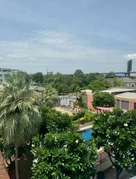 City Plus Sukhumvit 50 : ซิตี้ พลัส สุขุมวิท 50, กรุงเทพ, ซอยสุขุมวิท 50, พระโขนง, คลองเตย, กรุงเทพ, 240 ตร.ม., ทาวน์เฮ้าส์ ให้เช่า, โดย Thanachot Khantigamongun, 500362522 - DDproperty.com