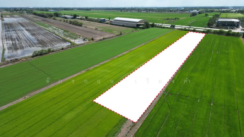 คลองเจ็ด ติดถนนธัญบุรี, Pathum Thani, ธัญบุรี, Khlong Chet, Khlong Luang, Pathum Thani, , 4,604 sqm, Land For Sale, by จักรกฤษ เวียงคำ, 500362524 - DDproperty.com