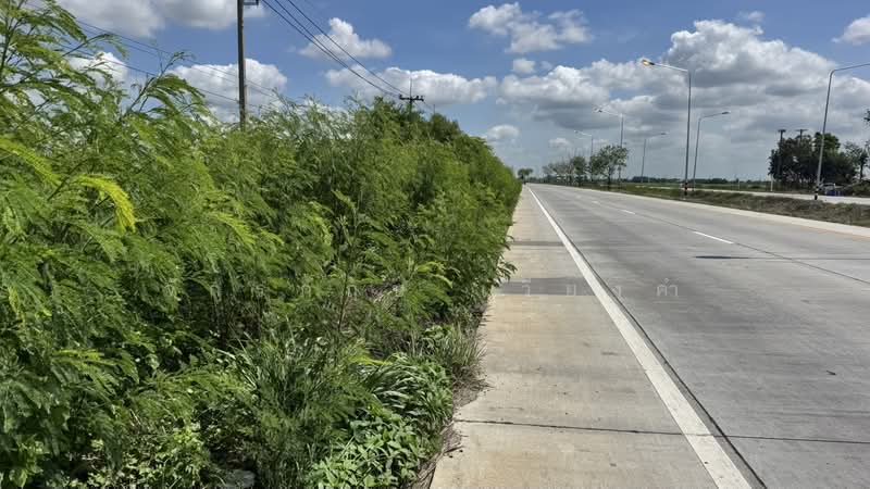คลองเจ็ด ติดถนนธัญบุรี, ปทุมธานี, ธัญบุรี, คลองเจ็ด, คลองหลวง, ปทุมธานี, 4,604 ตร.ม., ที่ดิน ขาย, โดย จักรกฤษ เวียงคำ, 500362524 - DDproperty.com