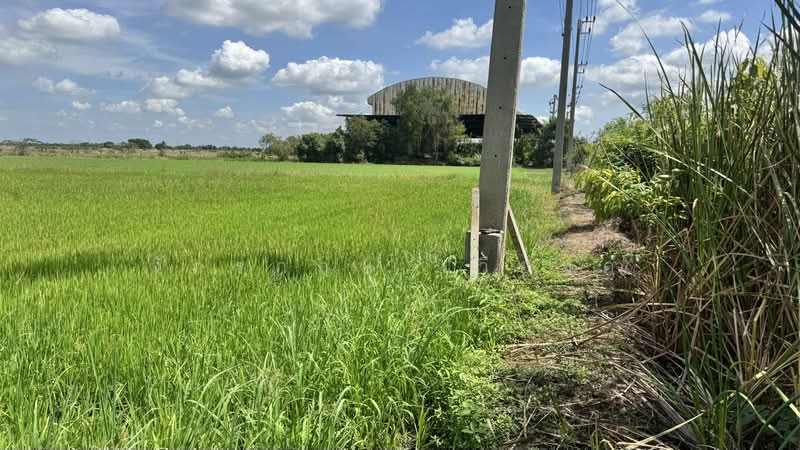 คลองเจ็ด ติดถนนธัญบุรี, Pathum Thani, ธัญบุรี, Khlong Chet, Khlong Luang, Pathum Thani, , 4,604 sqm, Land For Sale, by จักรกฤษ เวียงคำ, 500362524 - DDproperty.com