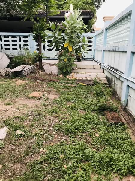 หมู่บ้านธนินธร 2, Bangkok, วิภาวดีรังสิต35, Sanam Bin, Don Mueang, Bangkok, 4 Bedrooms, 200 sqm, Single Detached House For Sale, by Super B Estate Co., Ltd, 500362576 - DDproperty.com