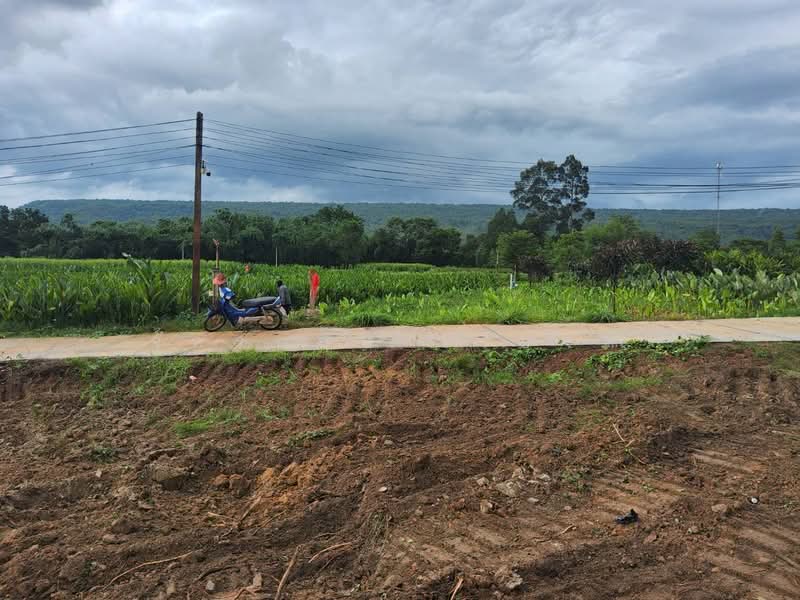 ที่ดินใกล้เขาใหญ่ เนินหอม ปราจีนฯ, Prachin Buri, Noen Hom, Muang Prachin Buri, Prachin Buri, , 800 sqm, Land For Sale, by จักรกฤษ เวียงคำ, 500362600 - DDproperty.com