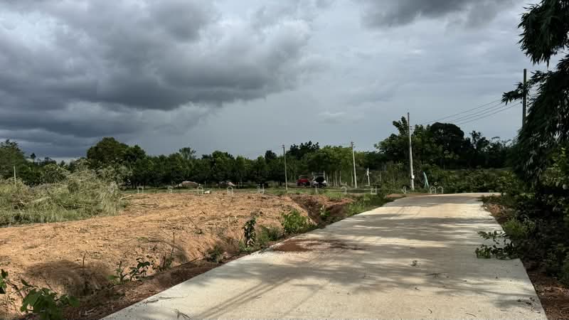 ที่ดินใกล้เขาใหญ่ เนินหอม ปราจีนฯ, ปราจีนบุรี, เนินหอม, เมืองปราจีนบุรี, ปราจีนบุรี, 800 ตร.ม., ที่ดิน ขาย, โดย จักรกฤษ เวียงคำ, 500362600 - DDproperty.com