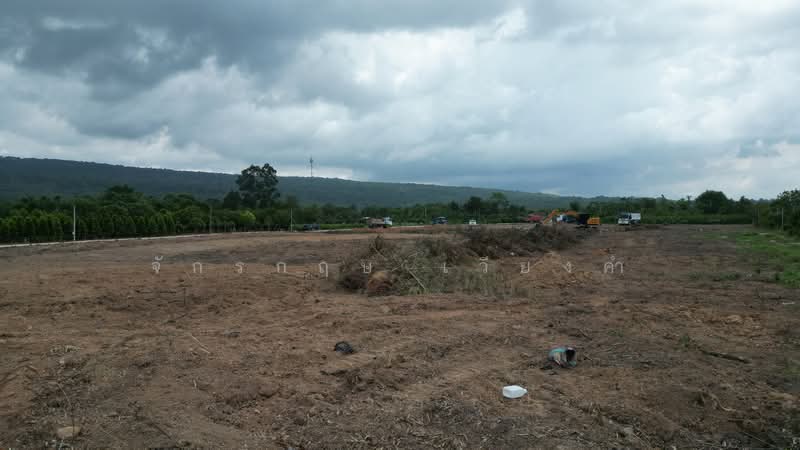 ที่ดินใกล้เขาใหญ่ เนินหอม ปราจีนฯ, Prachin Buri, Noen Hom, Muang Prachin Buri, Prachin Buri, , 800 sqm, Land For Sale, by จักรกฤษ เวียงคำ, 500362600 - DDproperty.com