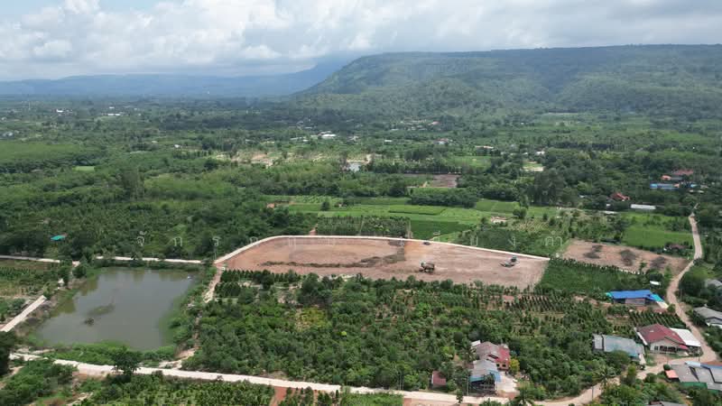 ที่ดินใกล้เขาใหญ่ เนินหอม ปราจีนฯ, Prachin Buri, Noen Hom, Muang Prachin Buri, Prachin Buri, , 800 sqm, Land For Sale, by จักรกฤษ เวียงคำ, 500362600 - DDproperty.com