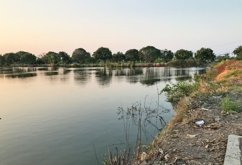 ที่ดินบางพลี สมุทรปราการ, Samut Prakan, Bang Chalong, Bang Plee, Samut Prakan, , 14,332 sqm, Land For Sale, by The Best Property ออฟ, 500362733 - DDproperty.com