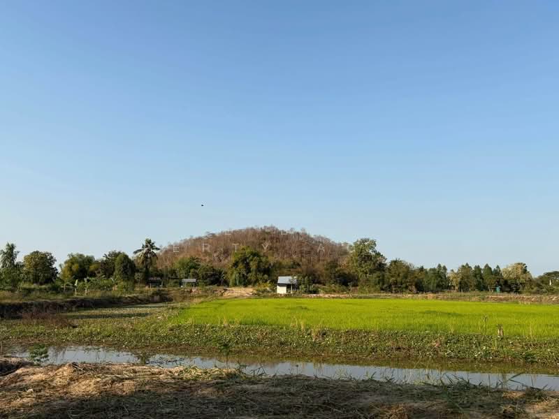 ที่ดินลาดยาว นครสวรรค์, นครสวรรค์, หนองยาว, ลาดยาว, นครสวรรค์, 16,000 ตร.ม., ที่ดิน ขาย, โดย The Best Property Agent เบ็นซ์, 500362838 - DDproperty.com